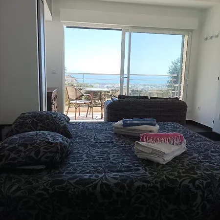 Moderne Magnifique Vue Sur Dans Cadre Calme Et Verdoyant Furiani