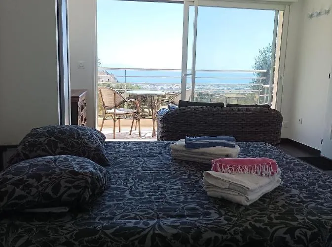 Moderne Magnifique Vue Sur Dans Cadre Calme Et Verdoyant Furiani