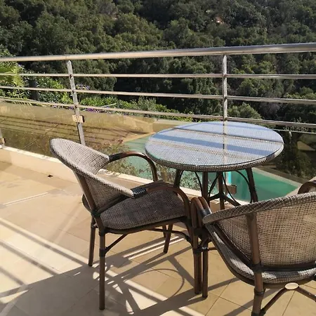 Apartment Moderne Magnifique Vue Sur Dans Cadre Calme Et Verdoyant Furiani