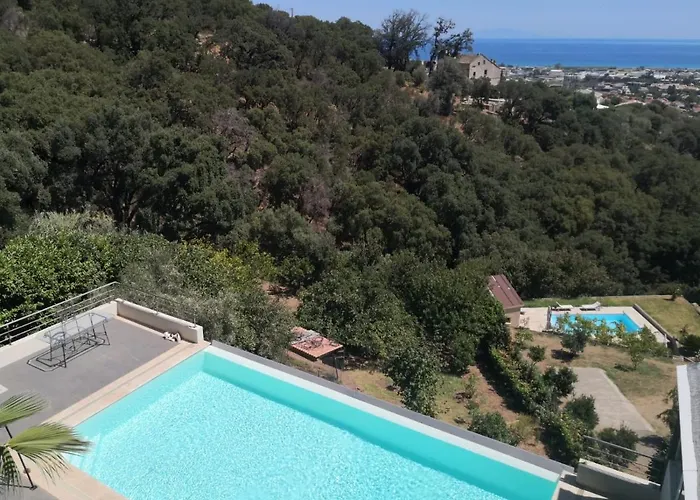 Moderne Magnifique Vue Sur Dans Cadre Calme Et Verdoyant *